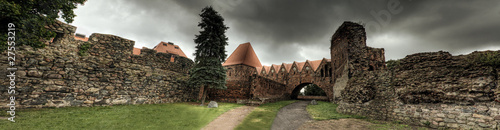 Obrazy Toruń  panorama-zabytkowy-zamek-w-toruniu