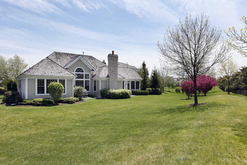 Wall Mural - Home with large back yard