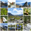 Alpi montagne - collage