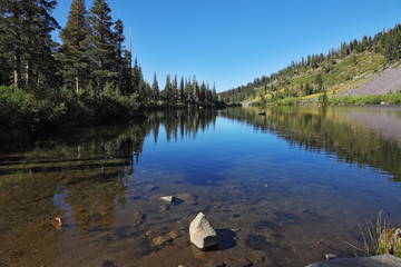 Canvas Print - Shallow Mammoth Lake among pine forests