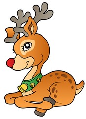 Canvas Print - Young Christmas reindeer 1