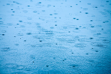 Wall Mural - rainy weather