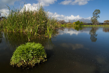 Still lake on a sunshine day