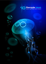 Jellyfish At The Black Background. Vector Illustration EPS 10
