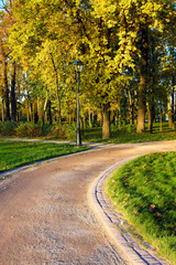 Wall Mural - autumn golden alley