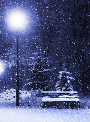 Poster - Bench, christmastree and lantern