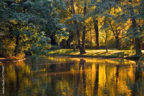 Tapeta ścienna na wymiar Golden reflections in the water of a pond on a calm day