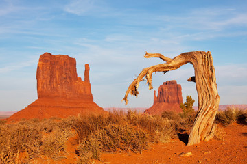 Wall Mural - Monument valley in USA