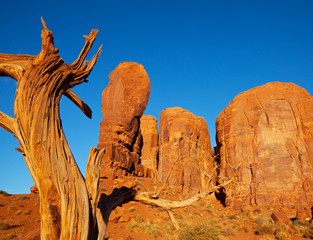 Wall Mural - Monument valley