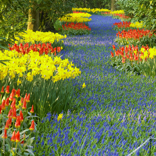 Board z aluminiowym obramowaniem Ogrody Keukenhof, Lisse, Holandia
