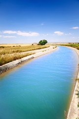 paisaje con canal de agua de regadio y arbol