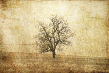 tree in the autumn field.