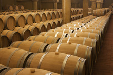 Wine Barrels In Cellar
