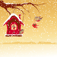 Christmas Greeting Robin Bird Wallpaper