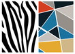 pattern of zebra crossing and mosaic