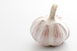 Garlic bulb on a white background