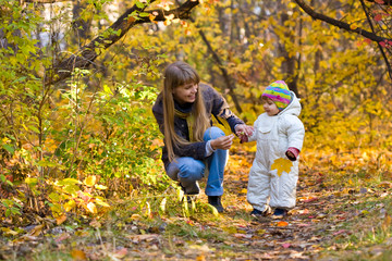 Wall Mural - Autumn park