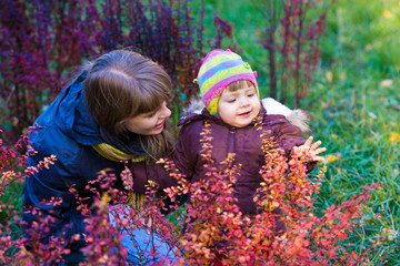 Wall Mural - Autumn park