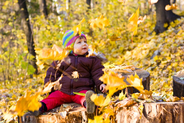 Wall Mural - Autumn park