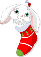 Bunny In Christmas Sock