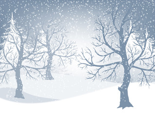 Wall Mural - winter background