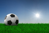 Fototapeta  - soccer ball on grass. 3D image