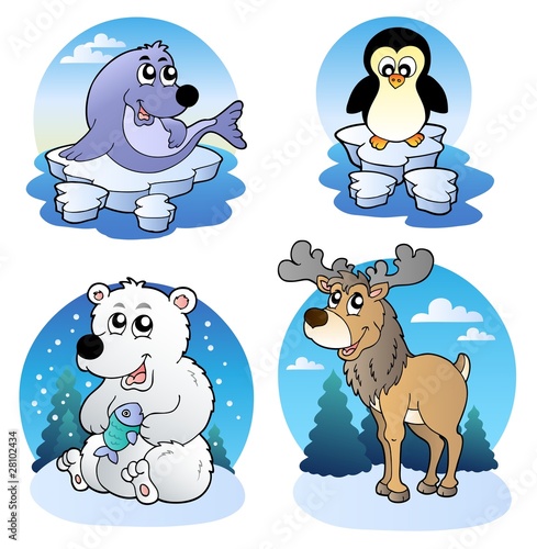 Foto-Doppelrollo - Various cute winter animals (von Klara Viskova)