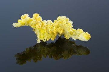 Poster - Delicate sulphur deposit from the Kilauea volcano, Hawaii.