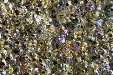 Poster - Macro background of porous lava rock with iridescent colors.