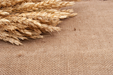 Wall Mural - Wheat ears on burlap background