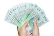 Hand holding range of polish 100 pln banknotes