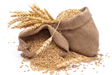 Sacks of wheat grains