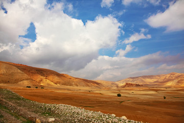 Sticker - Desert Sinai in the morning in December