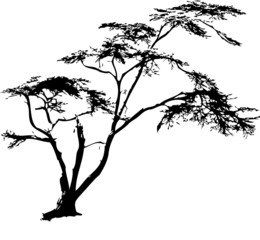  Vector tree