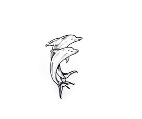 Papier Peint - Tattoo art, sketch of a dolphin