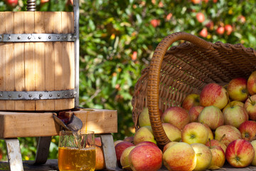 freshly squeezed apple juice