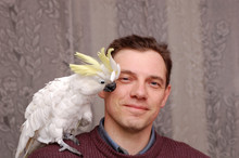 Man With Parrot Sitting On The Shoulder
