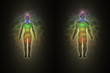 Woman and man silhouette with aura, chakras, energy