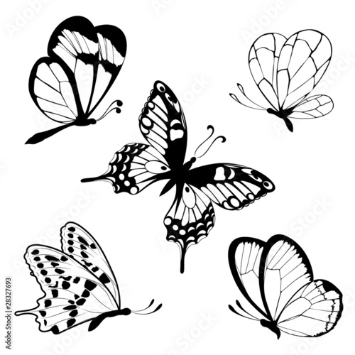 Fototapeta na wymiar Set black white butterflies of a tattoo