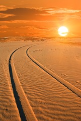 Wall Mural - road in a sand desert at the sunset