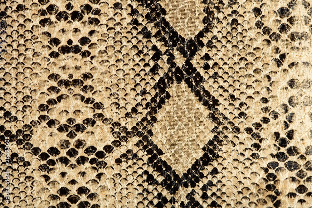 Snake Texturer snake texture Stock Photo | Adobe Stock