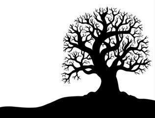 silhouette of tree without leaf 1