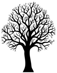 Silhouette of tree without leaf 2