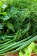 fresh green grass parsley dill onion
