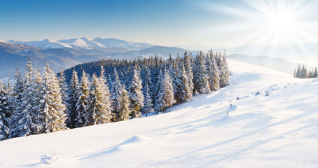 winter landscape