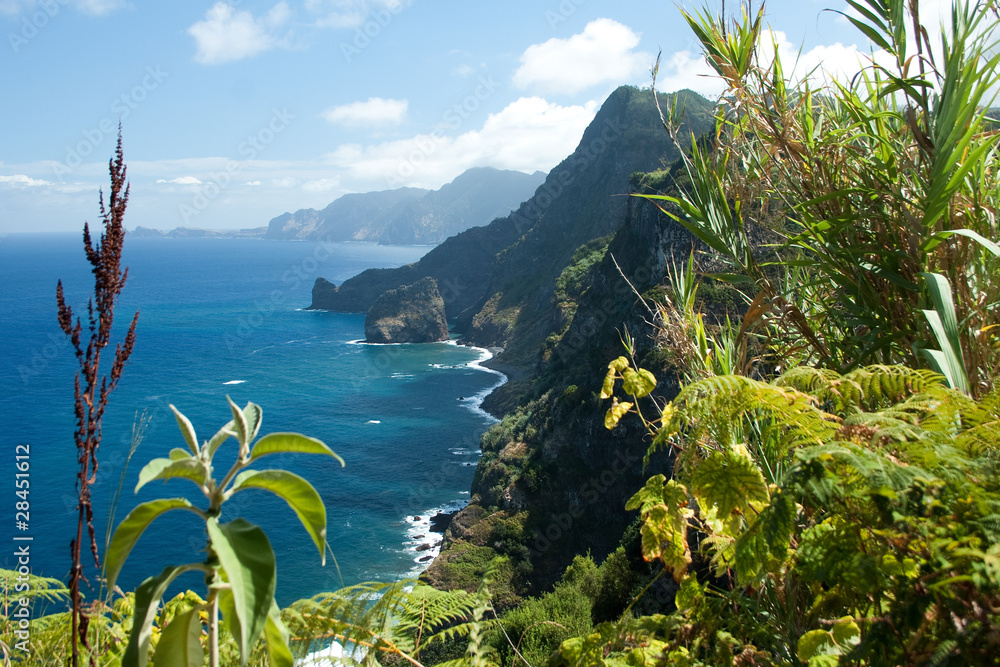 Madeira, north-east coast near Santana - obrazy, fototapety, plakaty 