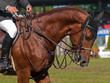 © Marco Antonio Fdez. - Jinete a caballo