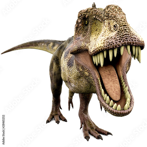 Obraz w ramie tyrannosaurus looking for food