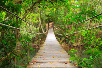 Bridge to the jungle,Khao Yai national park,Thailand