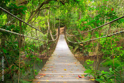 Obrazy most w dżungli  most-wiszacy-w-dzungli